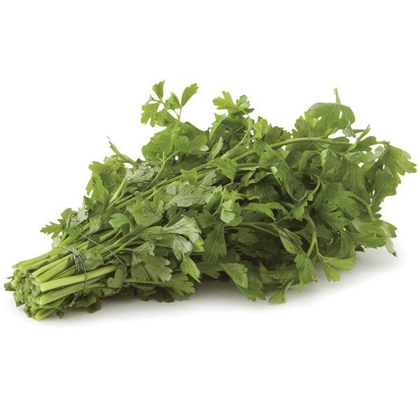Italian Parsley