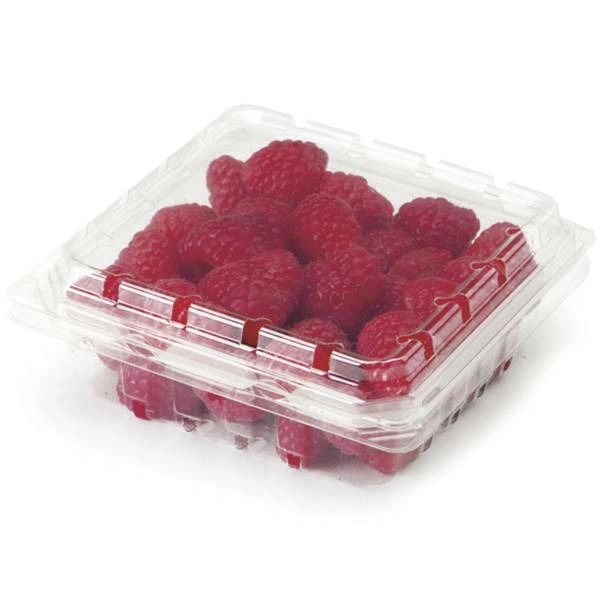 Organic Raspberries