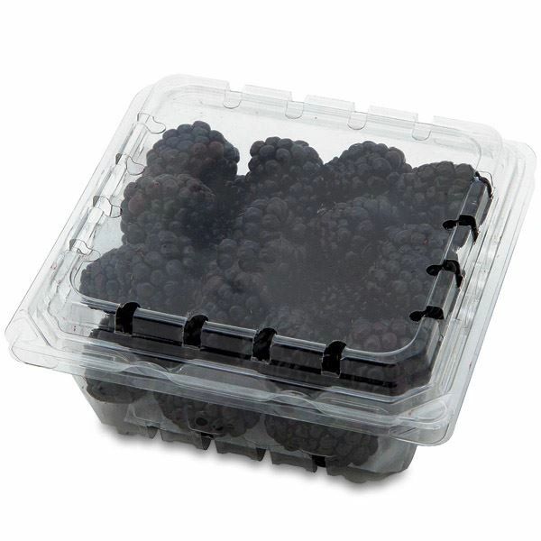 Organic Blackberries