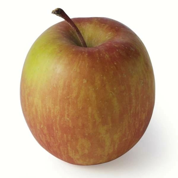 Organic Fuji Apple
