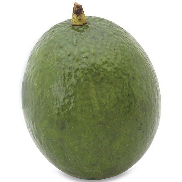 Florida Avocado
