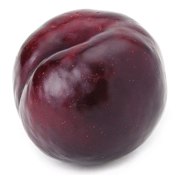 Black Plum