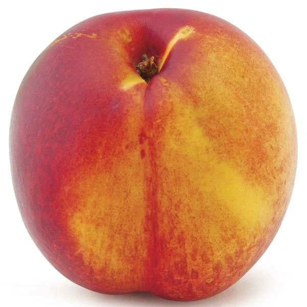 Nectarine