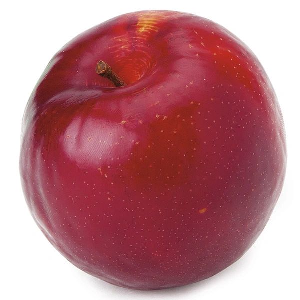 Red Plum
