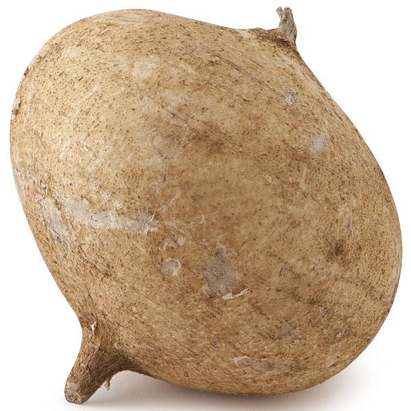 Jicama