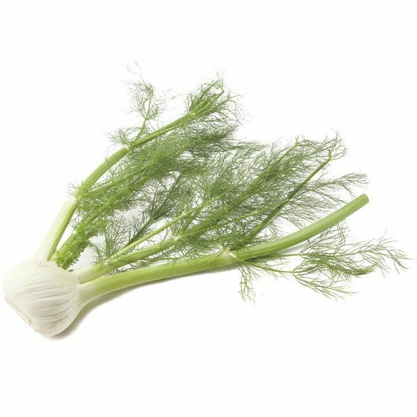 Organic Fennel