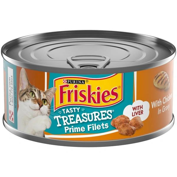 Purina Friskies Gravy Wet Cat Food, Tasty Treasures With Chicken & Liver