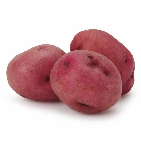 Red Potato