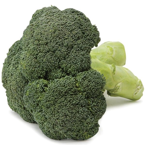 Broccoli