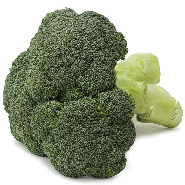 Organic Broccoli