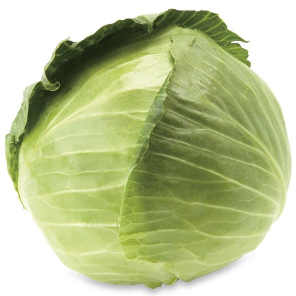 Green Cabbage