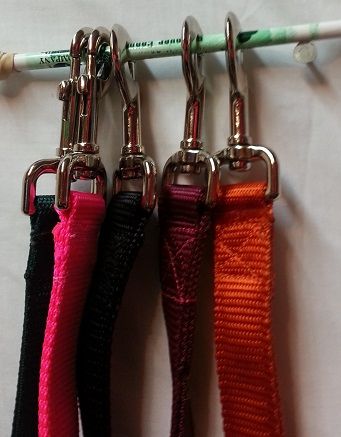 18 inch dog outlet leash