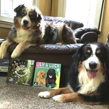 Australian Shepherd dogs inside house with children's books