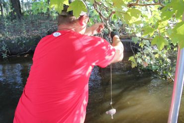 Baiting alligators
