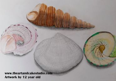 Shells study - Art portfolio preparation