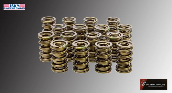 ISKY SOILD ROLLER CAM VALVE SPRINGS 9965