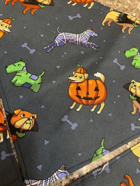 Halloween dogs in costume