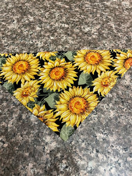 Sunflower ( blk background)