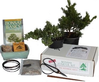 Bonsai Beginner Kit