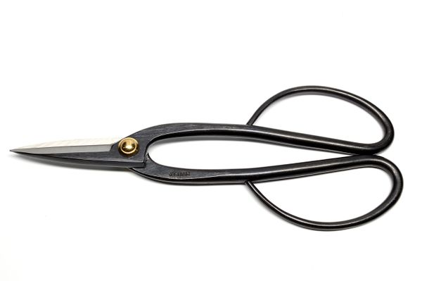 Bonsai Shears by Yoshiaki (Entry Level)