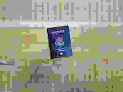 image17