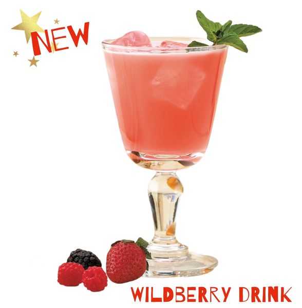 Wildberry Fruity Drink - 7 per box