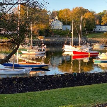 Boats docked near houses