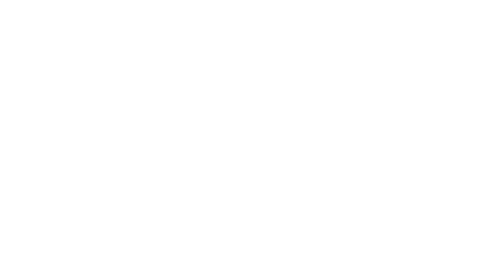 CleverMist