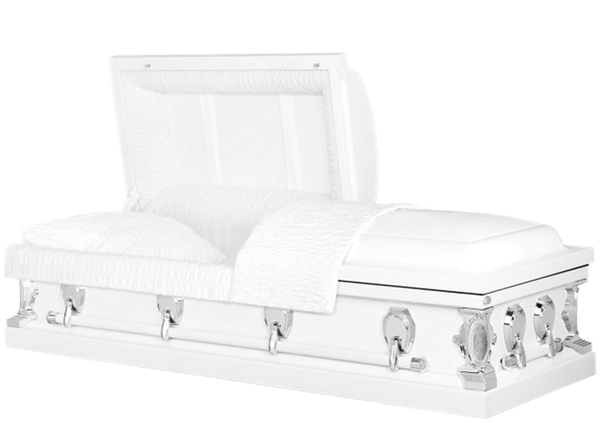 Wingate Star White 20Ga