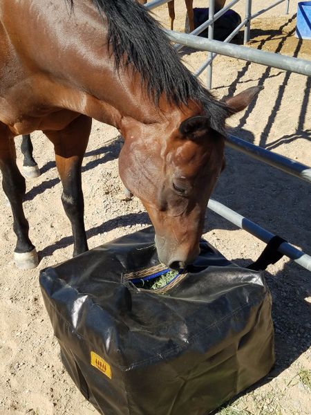 Grazer Bag Slot Feeder Half Bale Grazer Bags Feed Bags Hay