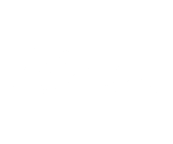 Satori Communications Group