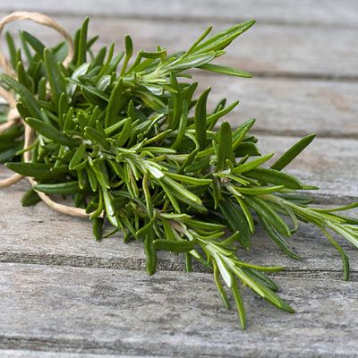 Rosemary Soap