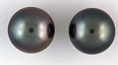 Ladies Black Pearl Stud Earrings