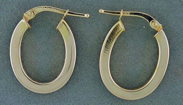 Oblong Hoop Earrings