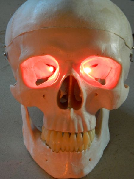 Halloween Prop 24 LED Augen mit Effekt-Controller für Masken
