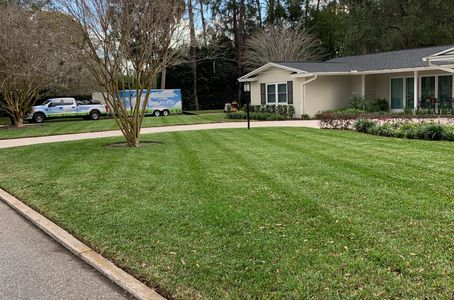 <img src="yard.png" alt="green grass mowing stripes">