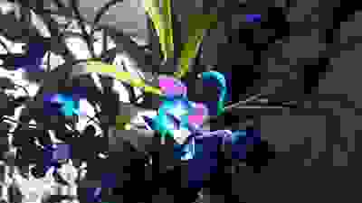 Dr Justin Lim Professor Yoland Lim Best Acupuncture Melbourne Knox Skin  Laser Acupuncture Menopause