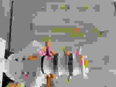 Sciatica Skin Treatment Dr Justin Lim Dr Selina Lim Professor Yoland Lim Health Care JUVEFACE skin