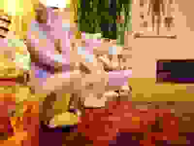 Dr Justin Lim Professor Yoland Lim Best Acupuncture Melbourne Skin Cosmetic LaserAcupuncture Weight 