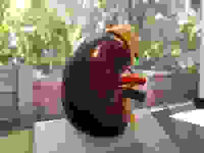 Dr Justin Lim Professor Yoland Lim  Acupuncture Melbourne Knox Skin Laser Acupuncture Weight Loss