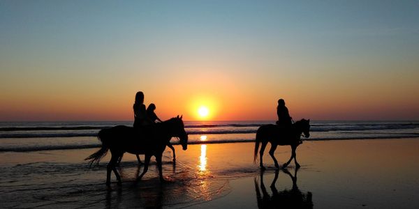 Horse riders on the beach in sunset