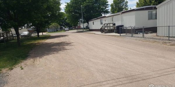 A dirt road lined with trees and single-story buildings on a sunny day.