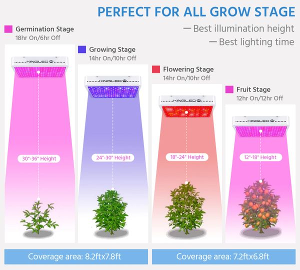 KINGPLUS 3000W Double Chips LED Grow Light Full Spectrum for Greenhouse and  Indoor Plant Flowering Growing (10w Leds)