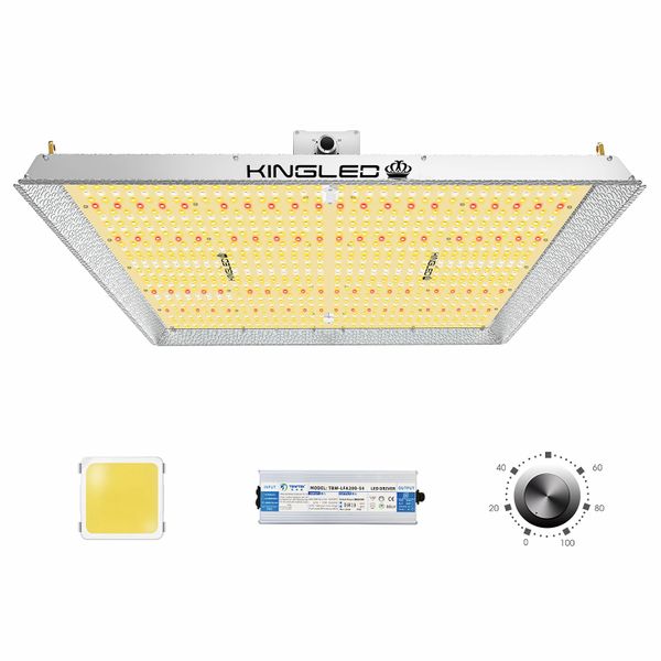 Quantum led deals grow light