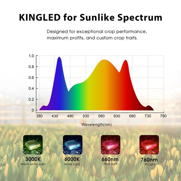 What is full spectrum light? - KingOrnan-To provide customers with the most  valuable lighting solutions.