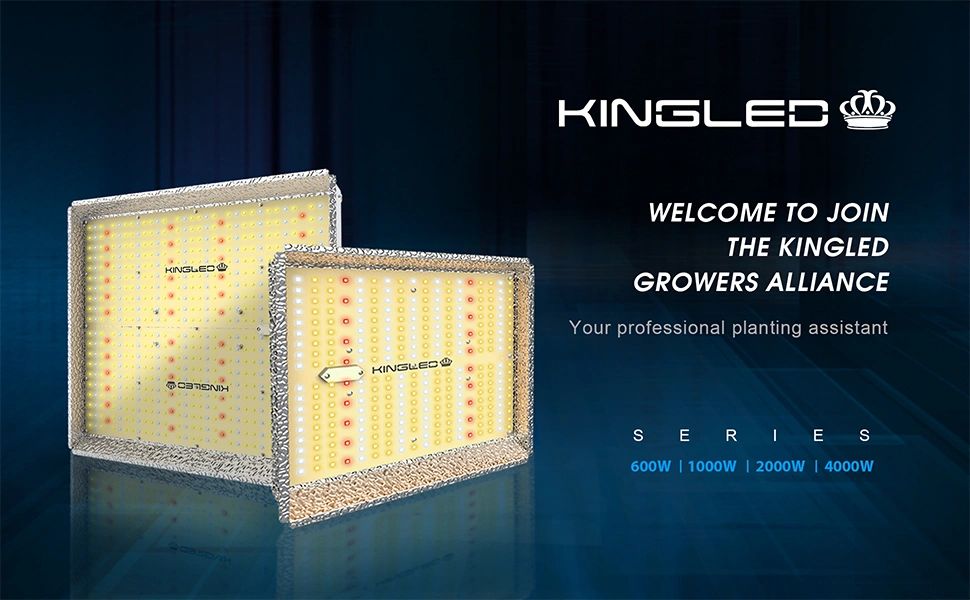 King 600W 1000W 2000W 4000W Quantum LED Grow Light Full Spectrum Samsung Chips 