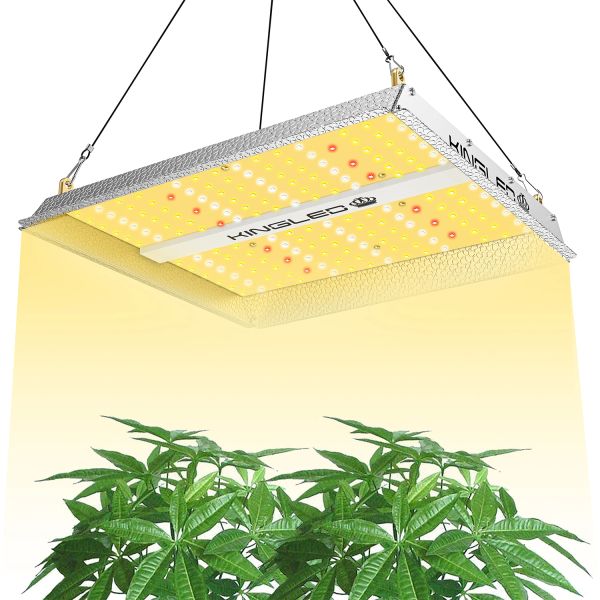 600W LED Dimmable Grow Light 2x2FT Sunlike Full Spectrum Plants Lamp Indoor Veg 