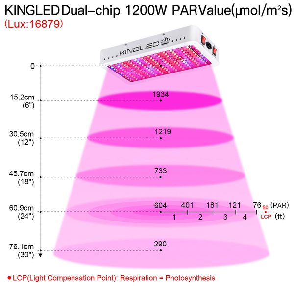 King Plus 1200w LED Grow Light Double Chips Full Spectrum with UV and IR for Greenhouse Indoor Plant Veg and Flower