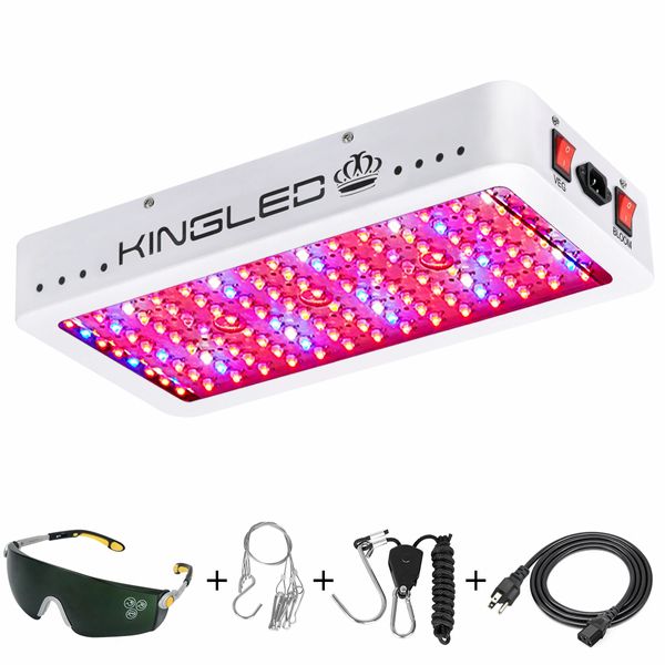 underkjole Validering Tilsvarende King Plus 1500w | King LED Lights