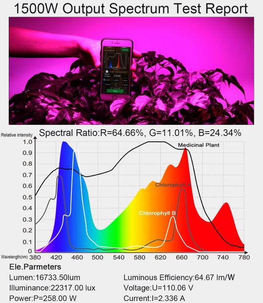 underkjole Validering Tilsvarende King Plus 1500w | King LED Lights